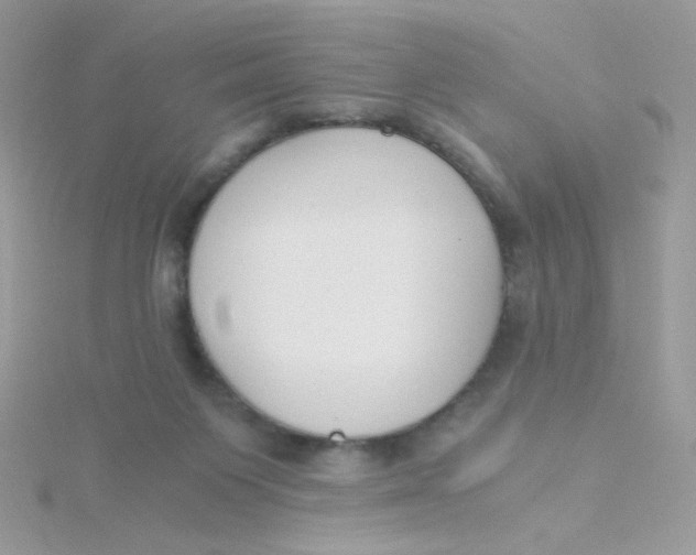 X0000115480119200911271336