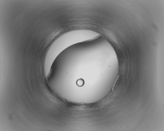 X0000115480120200911271336