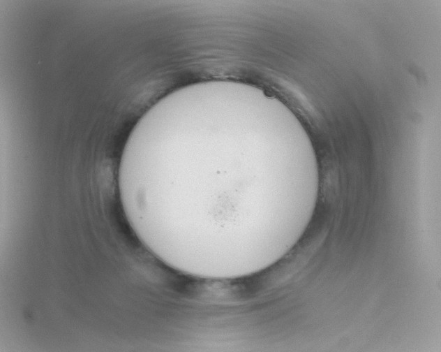 X0000115480121200911271336