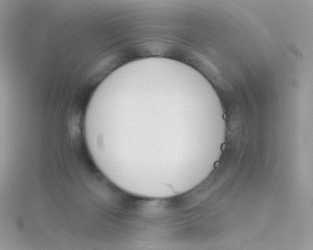 X0000115480122200911271336