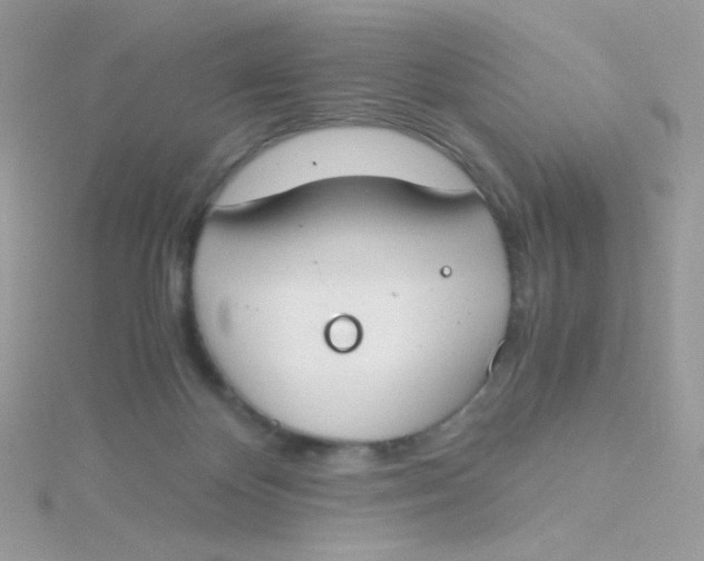 X0000115480124200911271336