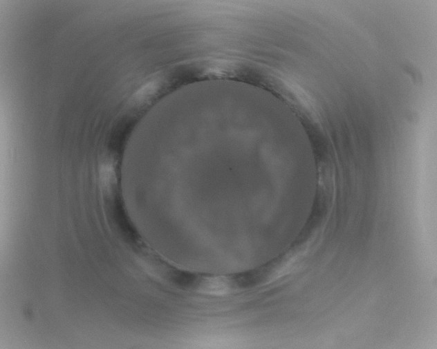 X0000115480127200911271336