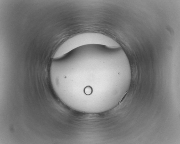 X0000115480128200911271336