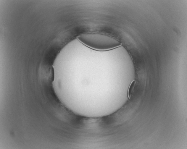 X0000115480129200911271336