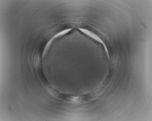 X0000115480130200911271336