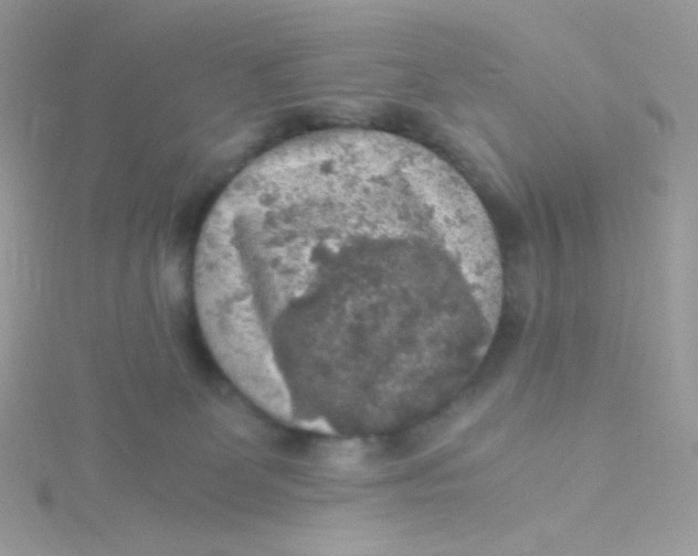 X0000115480131200911271336