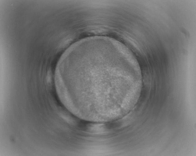 X0000115480132200911271336