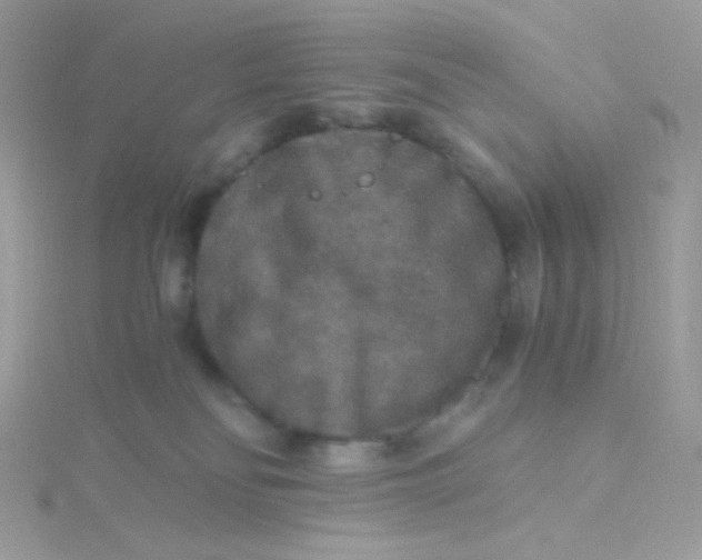 X0000115480134200911271336