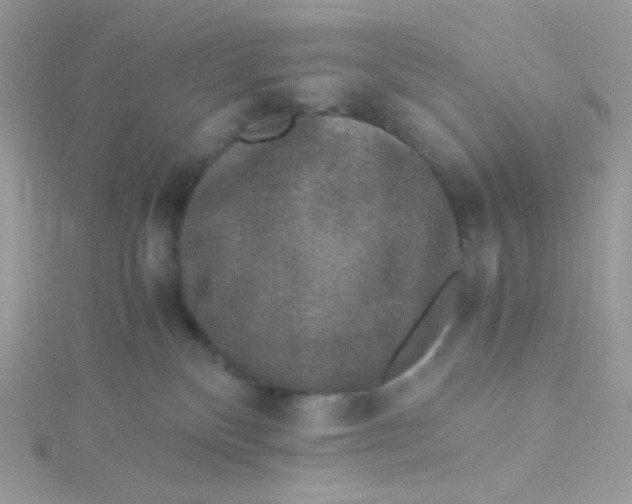 X0000115480136200911271336