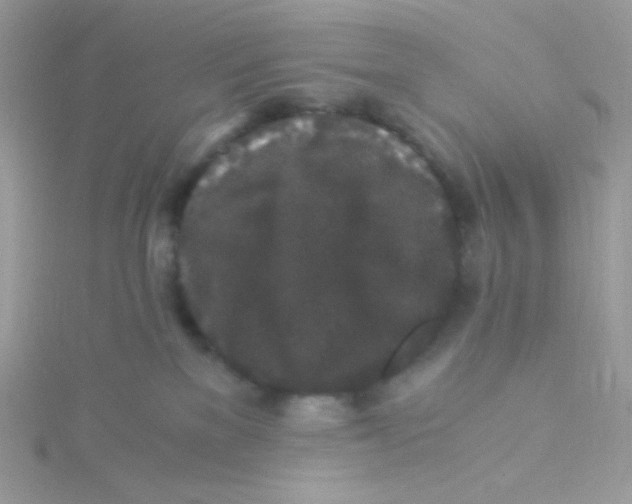 X0000115480137200911271336