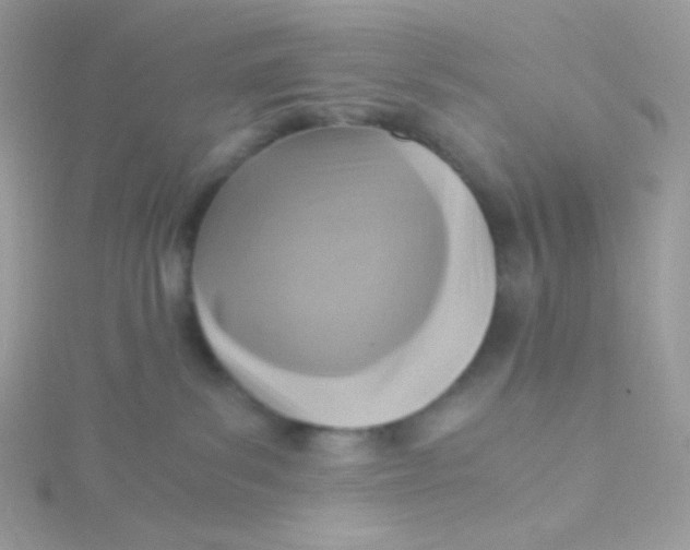 X0000115480139200911271336