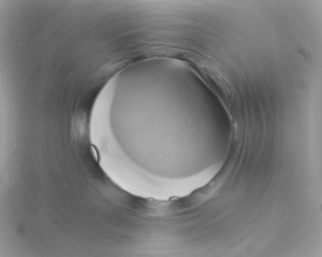 X0000115480143200911271336