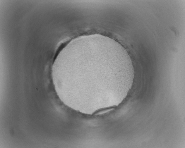 X0000115480144200911271336