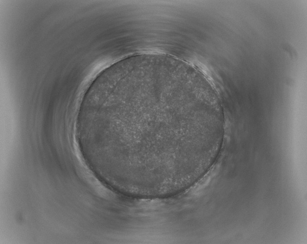 X0000115480145200911271335