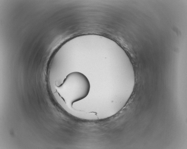 X0000115480146200911271335