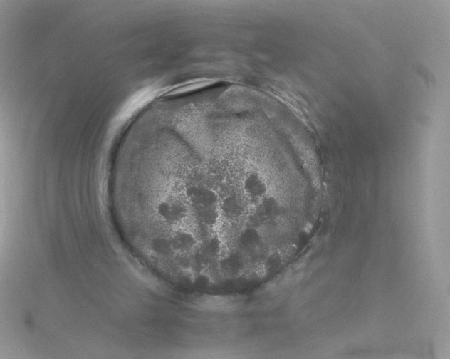 X0000115480149200911271335