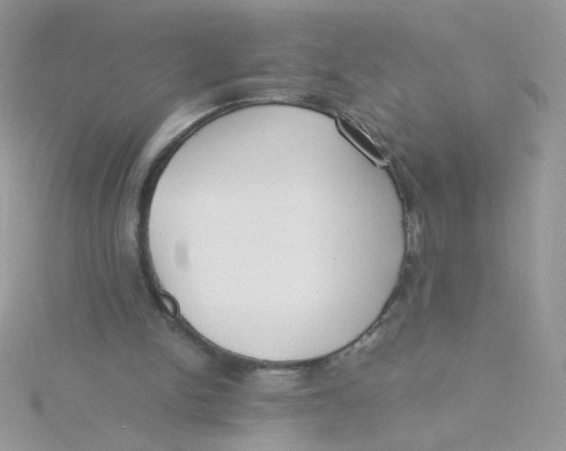 X0000115480150200911271335