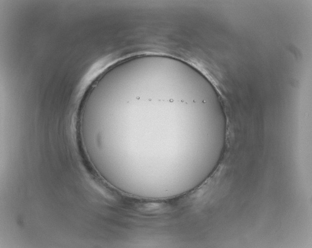 X0000115480151200911271335