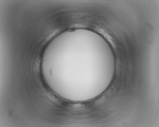 X0000115480153200911271335