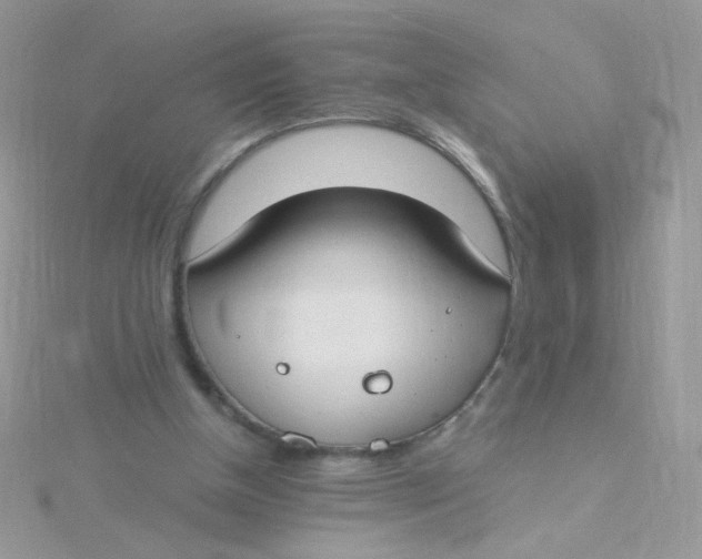 X0000115480154200911271335