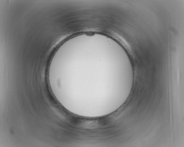 X0000115480155200911271335