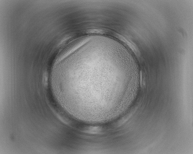 X0000115480157200911271335