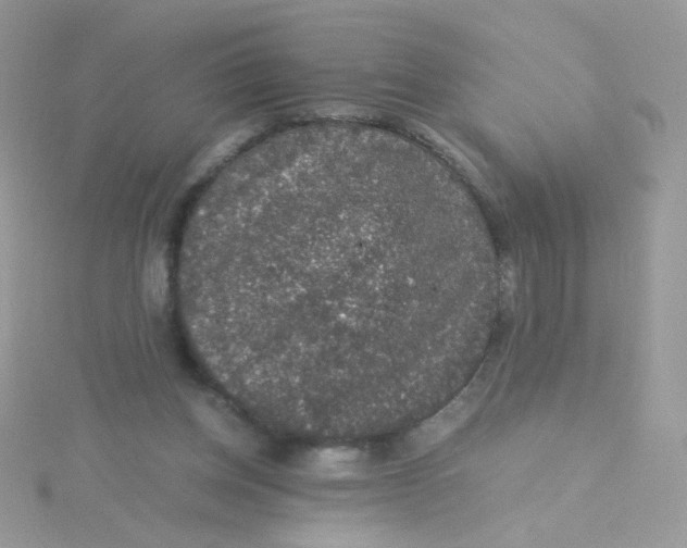 X0000115480158200911271335