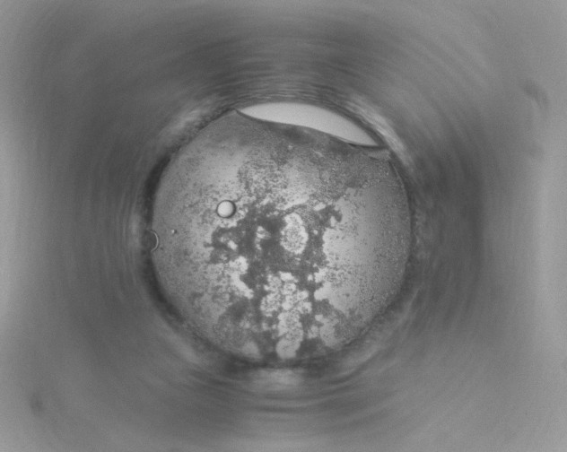 X0000115480161200911271335