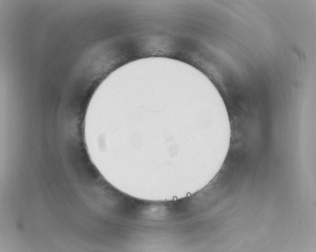 X0000115480162200911271335