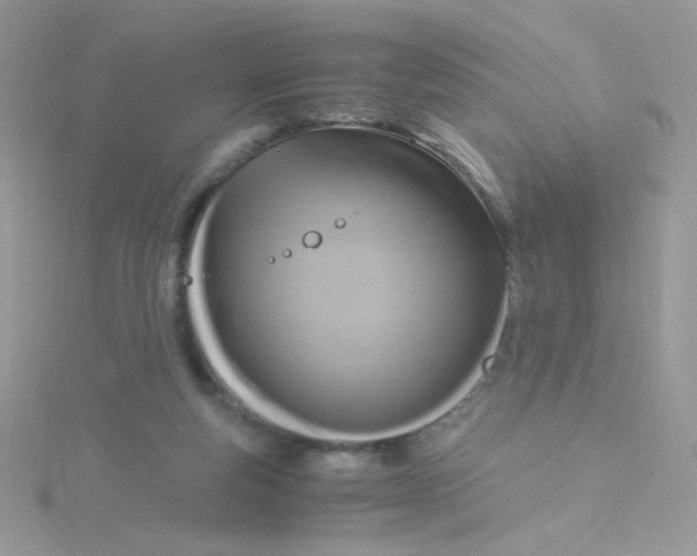 X0000115480163200911271335