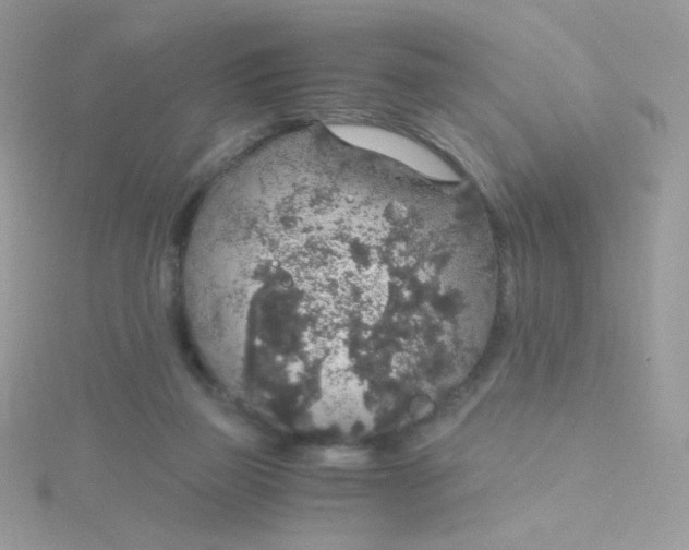 X0000115480165200911271335