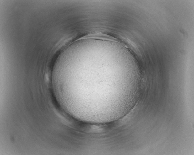 X0000115480166200911271335