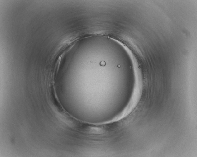 X0000115480167200911271335