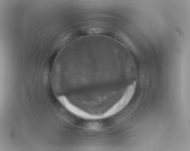 X0000115480169200911271335