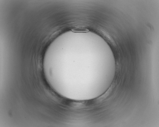 X0000115480170200911271335