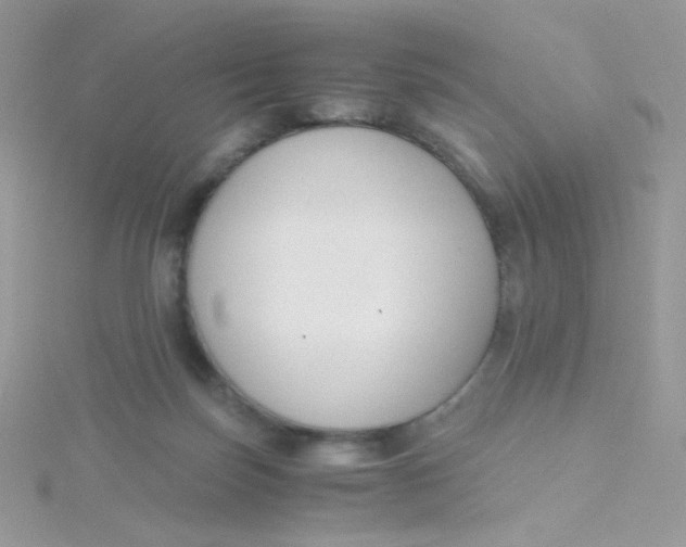 X0000115480171200911271335