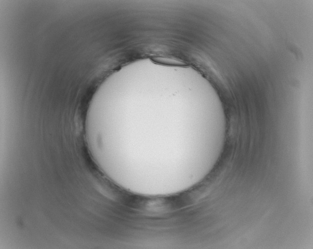 X0000115480173200911271335