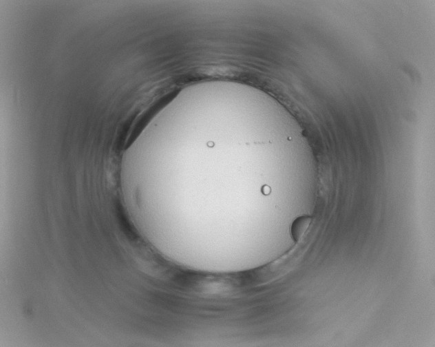 X0000115480175200911271335