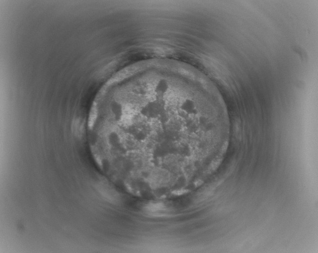 X0000115480177200911271335