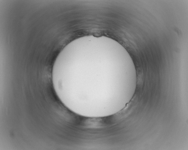 X0000115480179200911271336