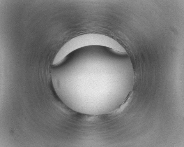 X0000115480186200911271336