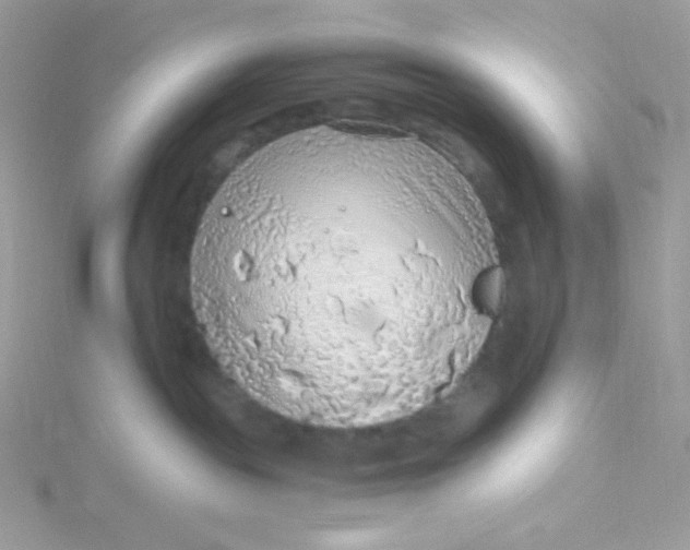 X0000115480189200911271336