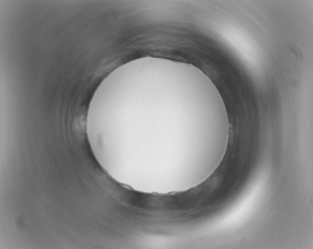 X0000115480190200911271336