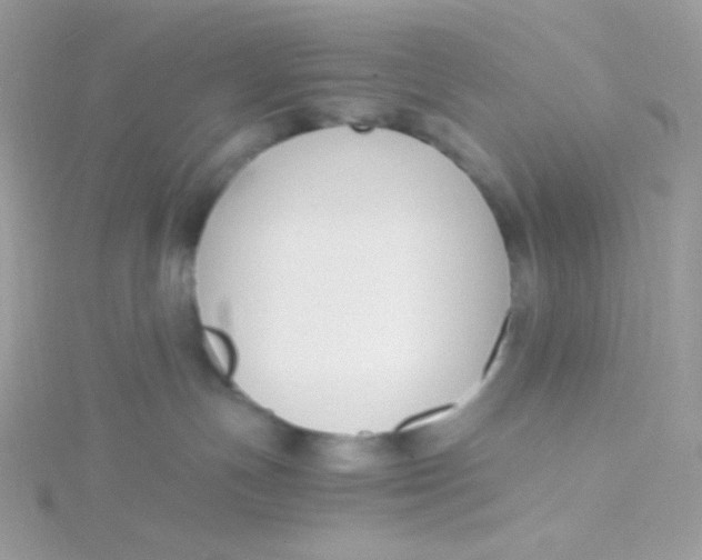 X0000115480191200911271336