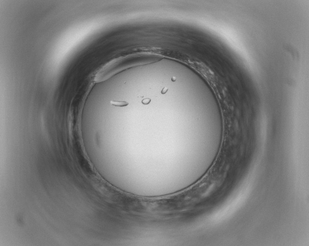 X0000115480194200911271335