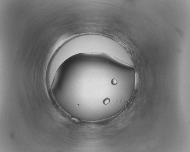 X0000115480195200911271335