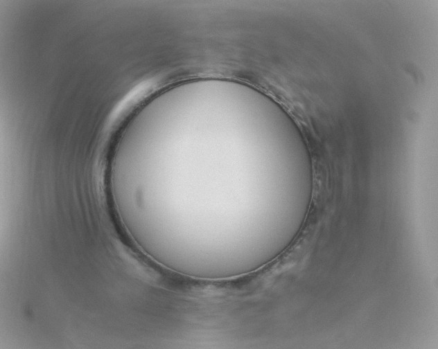 X0000115480197200911271335