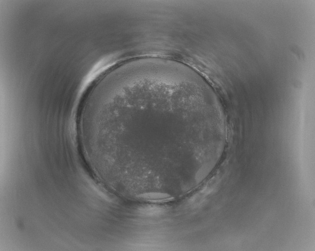 X0000115480198200911271335