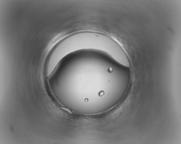 X0000115480199200911271335