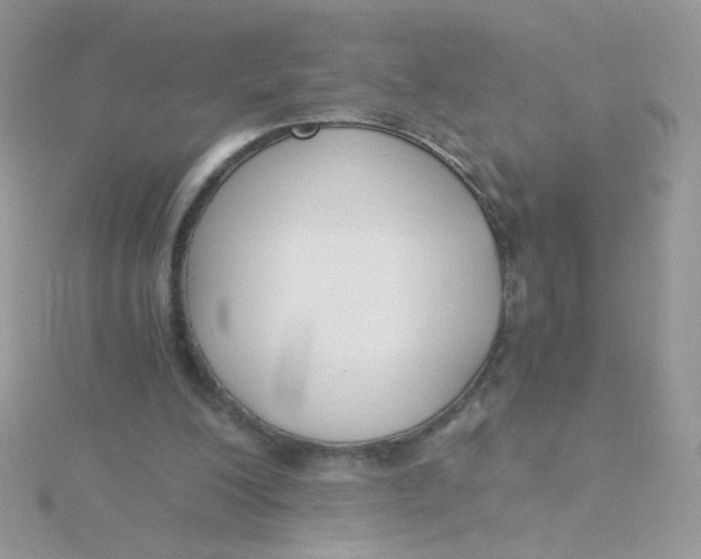 X0000115480200200911271335